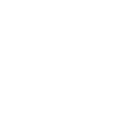 Medical Concierge Services icon